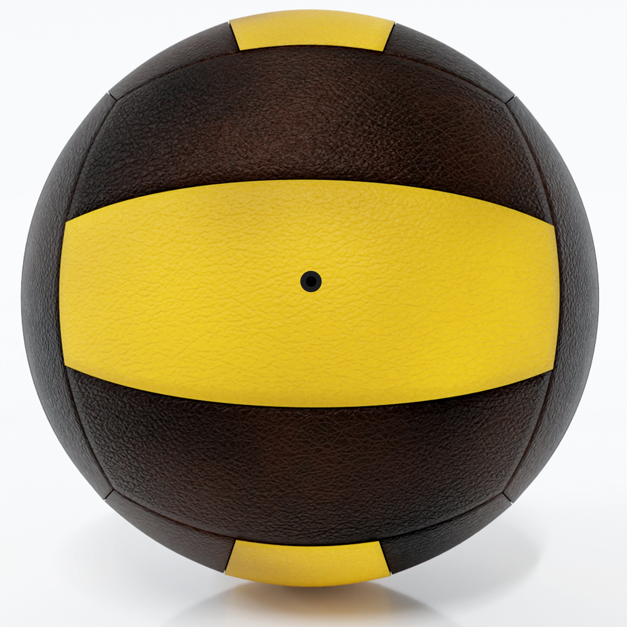 Apex Sports Professional Volleyball - Official Size 5
