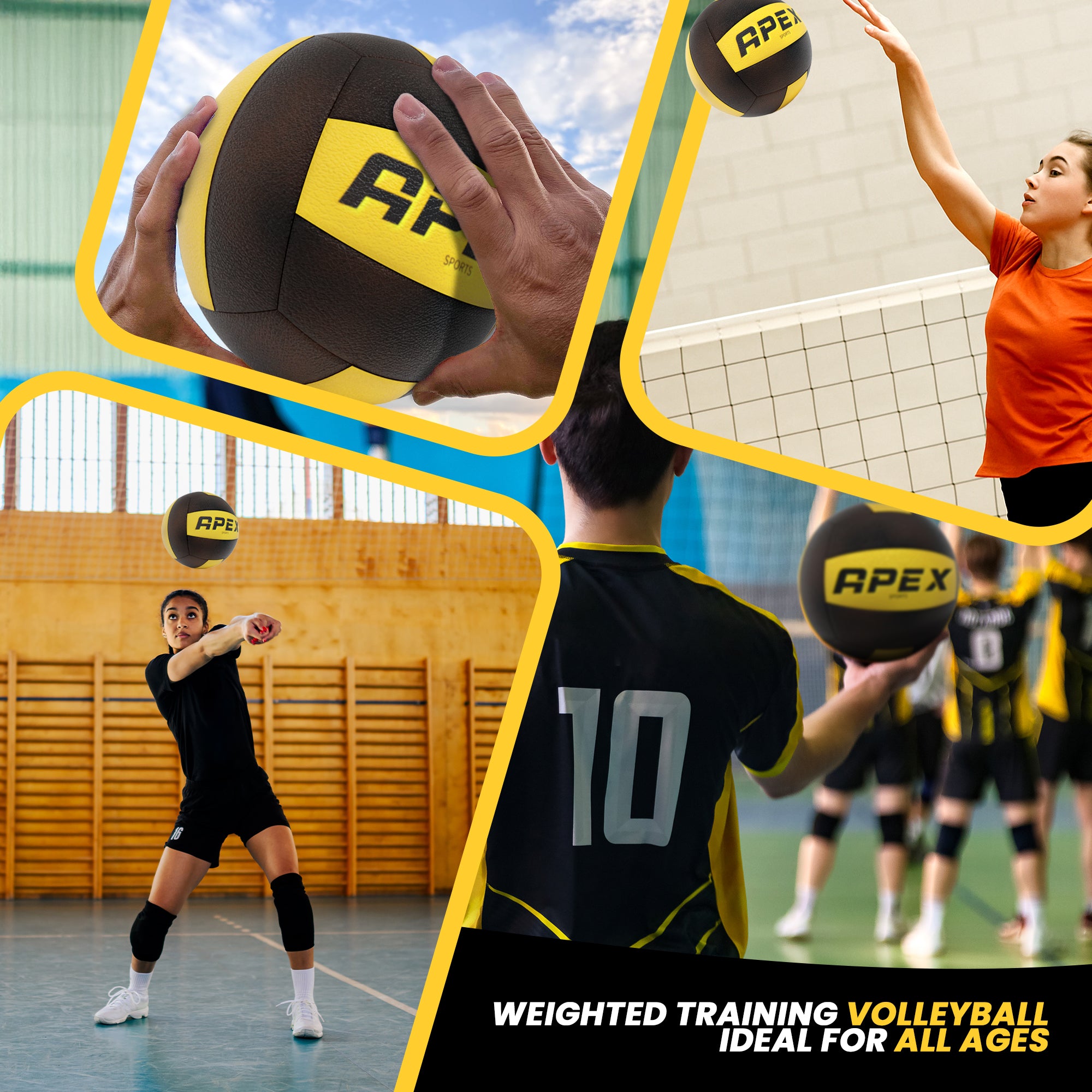 Apex Sports Professional Volleyball - Official Size 5